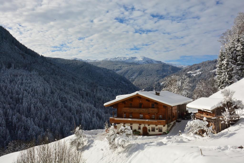 Riegergut Daire Unken Dış mekan fotoğraf